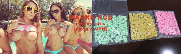 spice Новодвинск