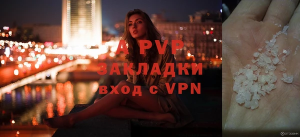 ешки Билибино