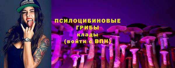 PSILOCYBIN Беслан