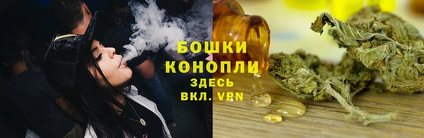 spice Новодвинск