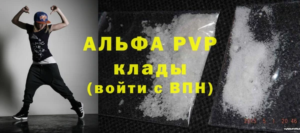 spice Новодвинск