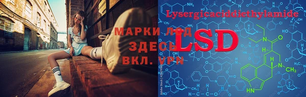 spice Новодвинск
